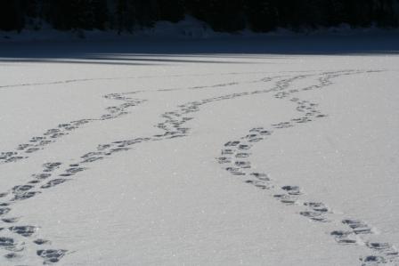 Manning Park Frozen Lake